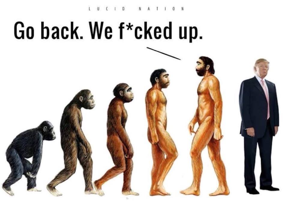 Humorous take on evolution